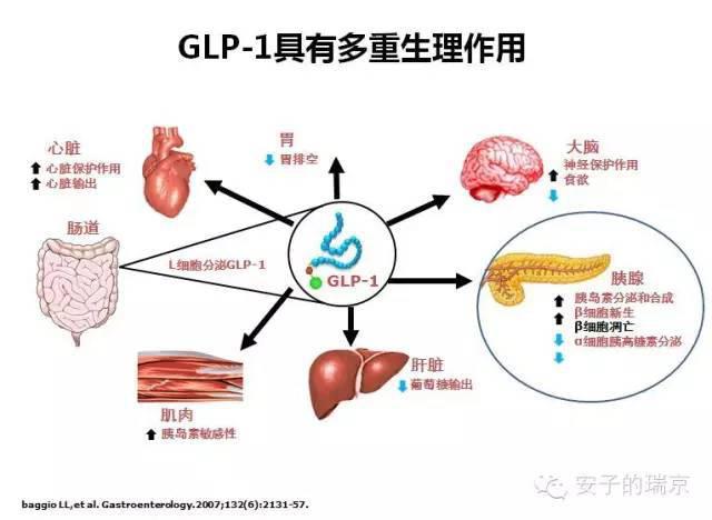 澳门新葡8455最新网站下载