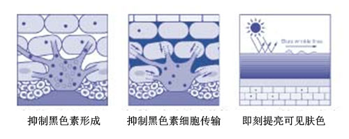 澳门新葡游戏网